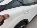 Citroen C4 BlueHdi 130 S&S EAT8 Feel Pack Blanco - thumbnail 13
