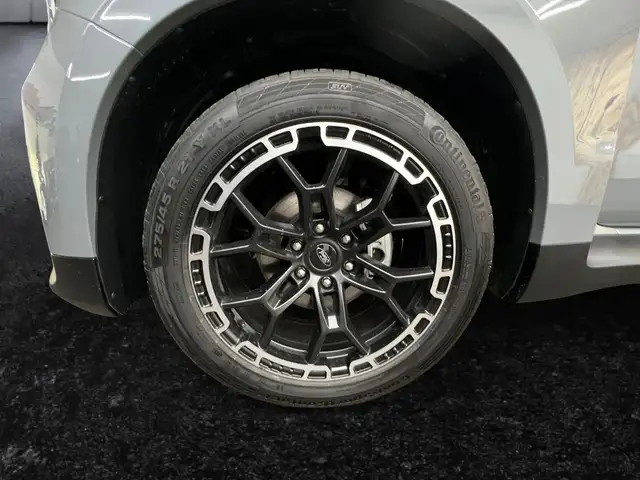 Ford Ranger MS-RT | 3,0l V6 | Rollo | Standheizung Ansicht 20