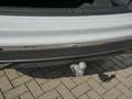Volkswagen Tiguan Life 1.5 TSI Pano*Stand*HuD*AHK*RFK*ACC Weiß - thumbnail 22
