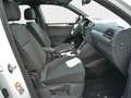 Volkswagen Tiguan Life 1.5 TSI Pano*Stand*HuD*AHK*RFK*ACC Weiß - thumbnail 4