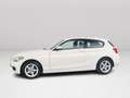 BMW 116 1-serie 116i Executive | Cruise control | Airco Weiß - thumbnail 4
