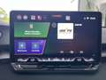 CUPRA Terramar DSG AHK|LED|CarPlay|Kamera|5JGar|19 Gris - thumbnail 11