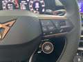CUPRA Terramar DSG AHK|LED|CarPlay|Kamera|5JGar|19 Gris - thumbnail 18