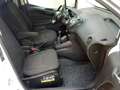 Ford COURIER 1.5 TDCI 75CV. Euro 6  (+iva) Blanco - thumbnail 15