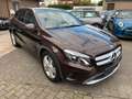 Mercedes-Benz GLA 250 4MATIC Panoramadach Automatik Braun - thumbnail 17