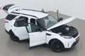 Land Rover Discovery 3.0 Td6 SE | Commercial | Trekhaak | Stoel+Stuurve Blanco - thumbnail 6