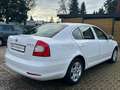 Skoda Octavia Lim. Ambiente, 2 Zon Klimaautomatik, PDC Wit - thumbnail 3