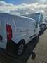 Fiat Doblo Max Weiß - thumbnail 7