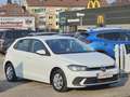 Volkswagen Polo 1,0 Limousine 1-Hand Pickerl+ServiceNEU 1A-Zustand Weiß - thumbnail 8