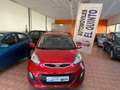 Kia Picanto 1.0 Concept Rojo - thumbnail 11