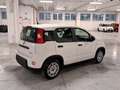 Fiat New Panda 1000 FireFly Hybrid 70CV ""Panda"" 5 Porte *Km. 0* Weiß - thumbnail 2