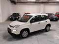 Fiat New Panda 1000 FireFly Hybrid 70CV ""Panda"" 5 Porte *Km. 0* Weiß - thumbnail 1