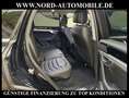 Volkswagen Touareg Elegance 4MOT 3.0 TDI Dig.Cockpit/StHz/ Elegance Schwarz - thumbnail 15