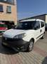 Fiat Doblo 1.3  mjt 16v Easy 95cv my18 Grün - thumbnail 3