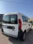 Fiat Doblo 1.3  mjt 16v Easy 95cv my18 Grün - thumbnail 9