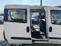 Fiat Doblo 1.3  mjt 16v Easy 95cv my18 Grün - thumbnail 6