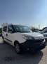 Fiat Doblo 1.3  mjt 16v Easy 95cv my18 Grün - thumbnail 1