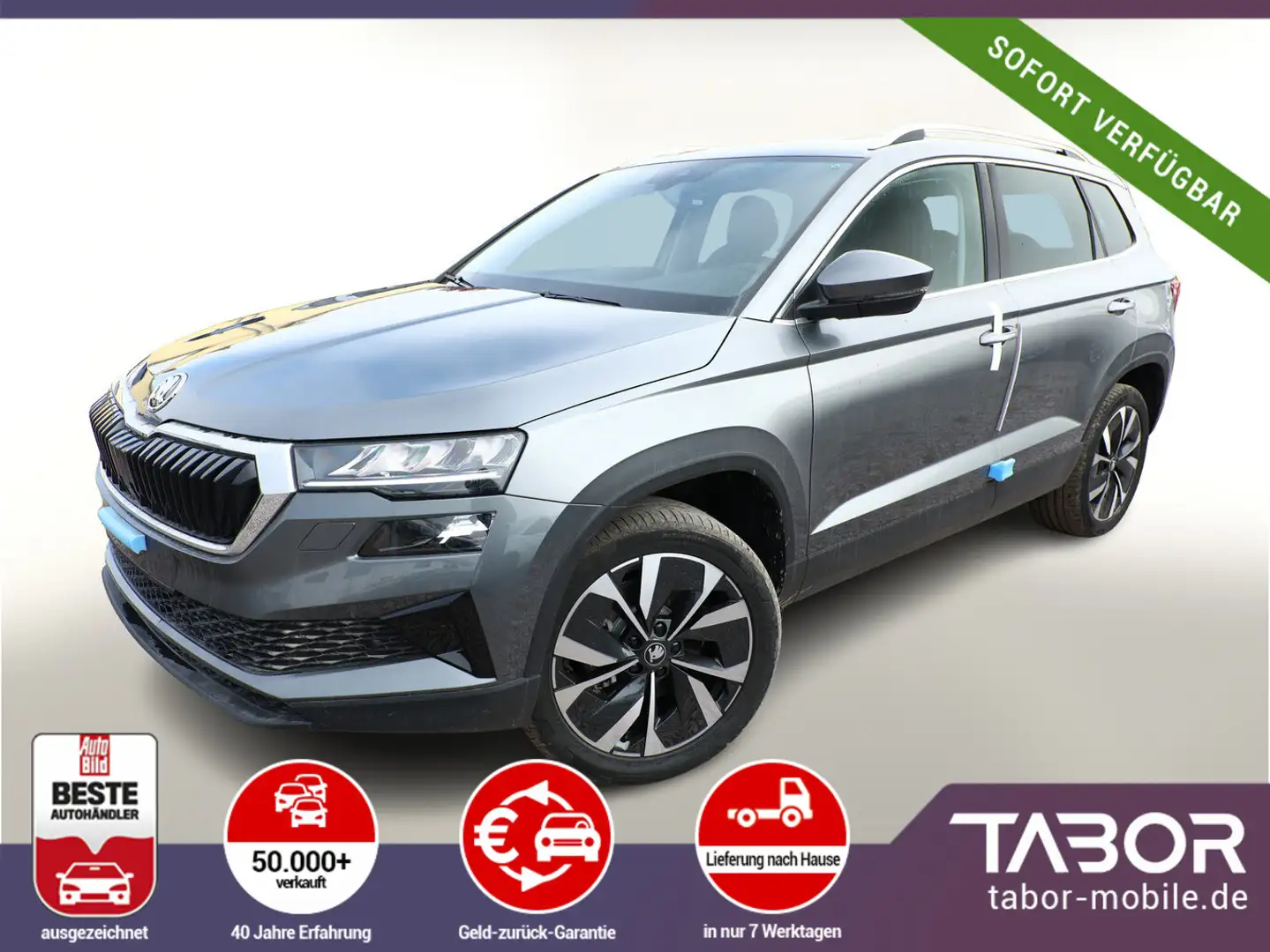 Skoda Karoq TSI 150 DSG Pano AHK NavC SideA Leder ACC Серый - 1