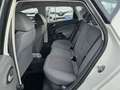 SEAT Ibiza 1.4TDi Rock&Roll 80 Weiß - thumbnail 6