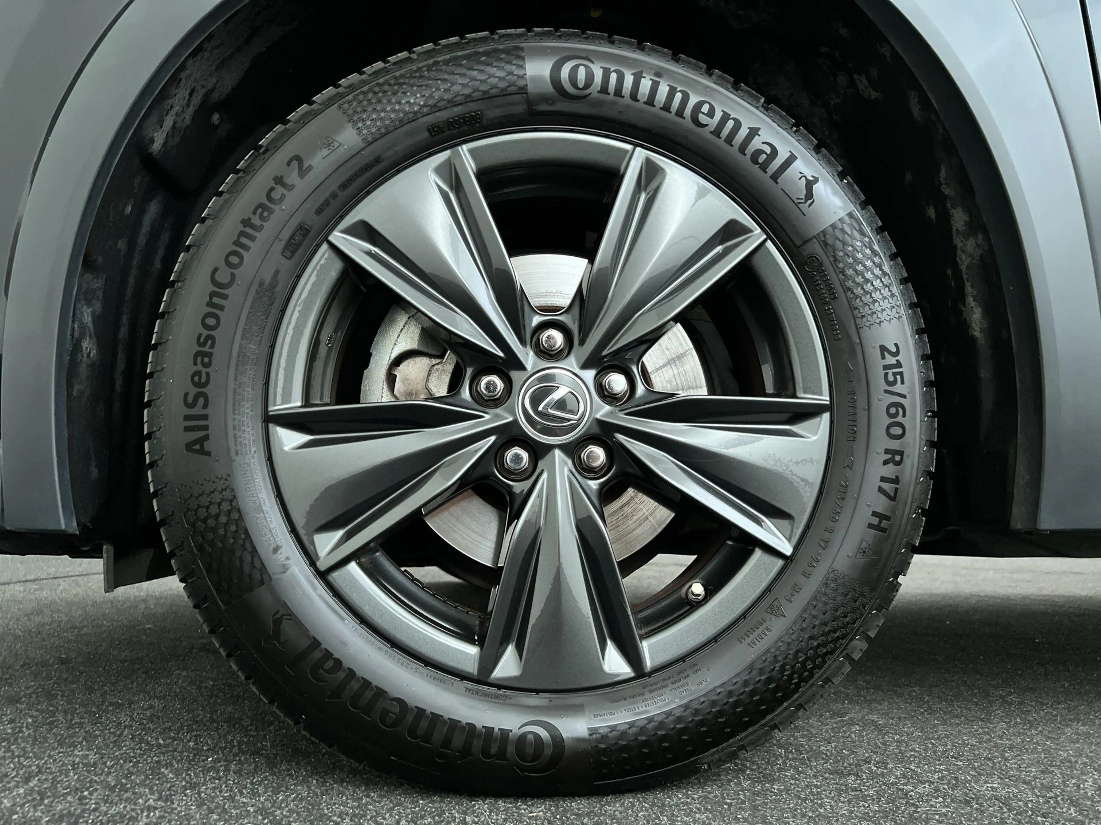 Lexus UX 250h Business Line, All Season banden! — photo 10
