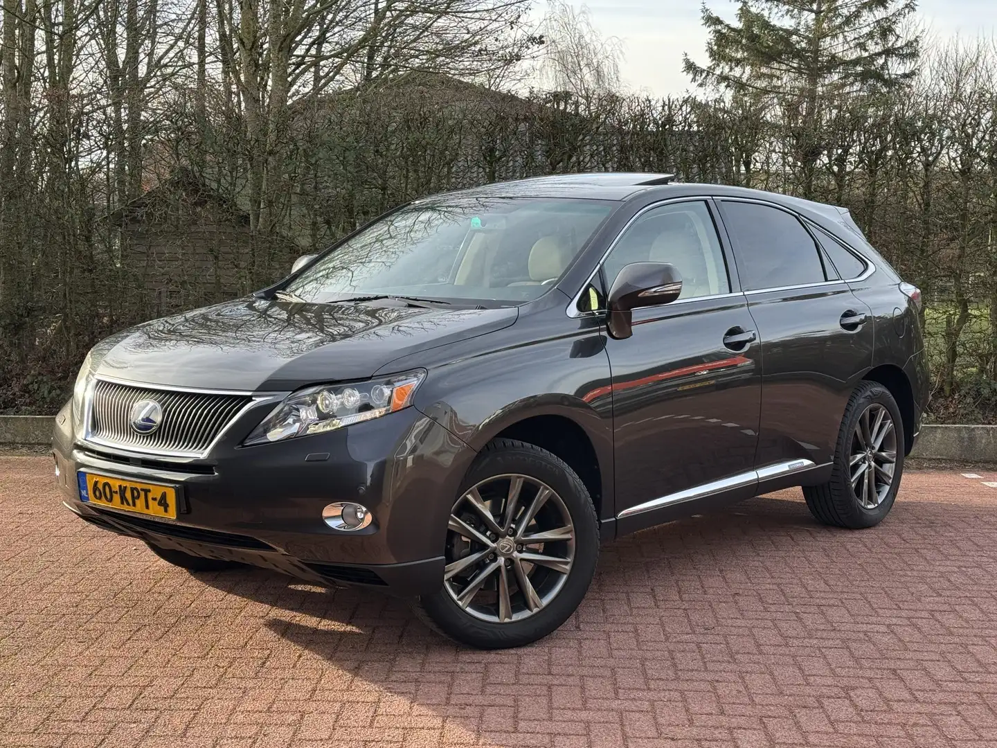 Lexus RX 450h 4WD President AdaptiefCruise Trekhaak NAP Luchtver Grau - 1