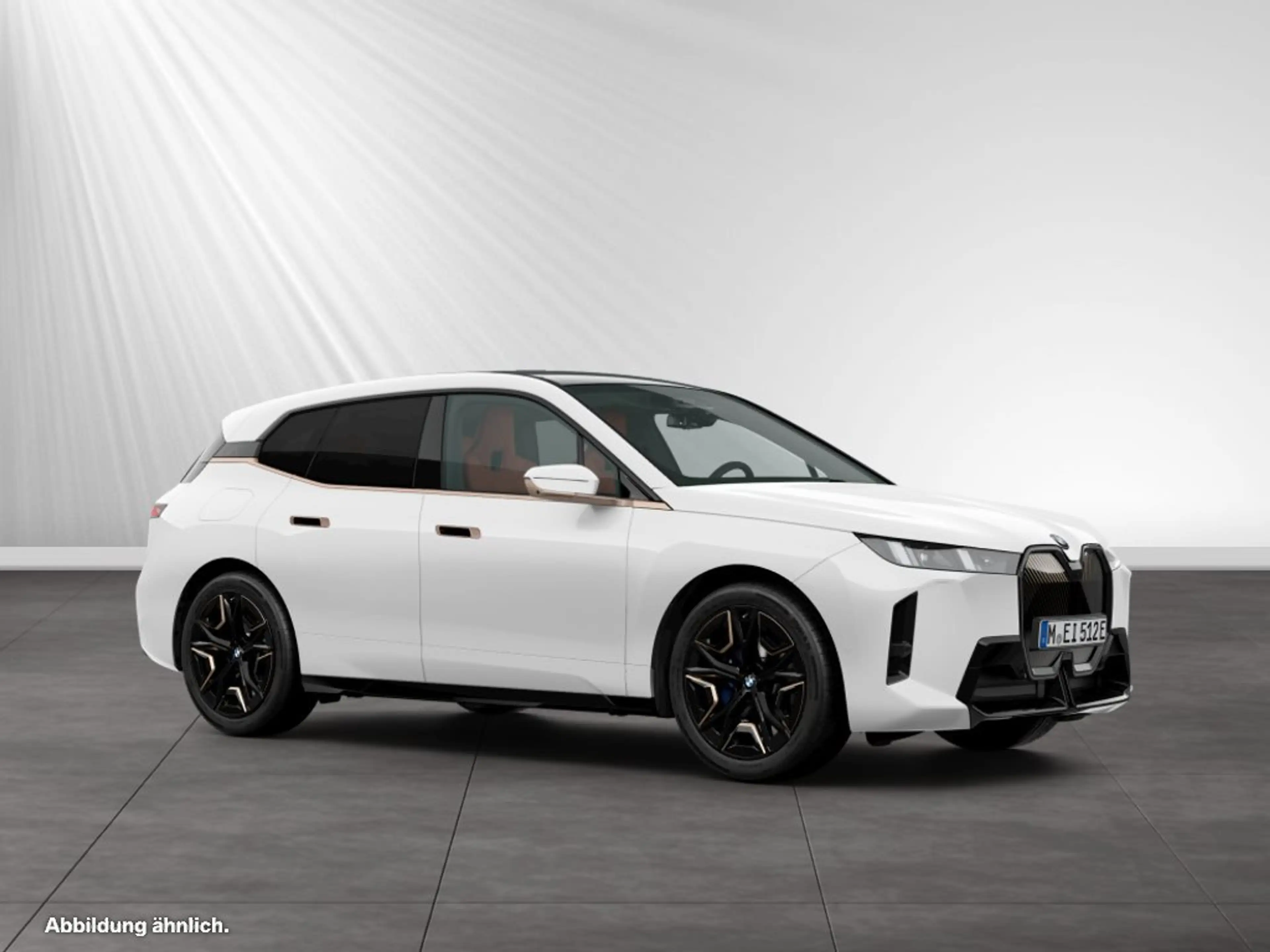 BMW iX xDrive60 M Sport|SkyLounge|DA&PA-Prof.|H/K — photo 12