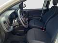 Fiat Panda Weiß - thumbnail 5