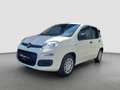 Fiat Panda Weiß - thumbnail 4