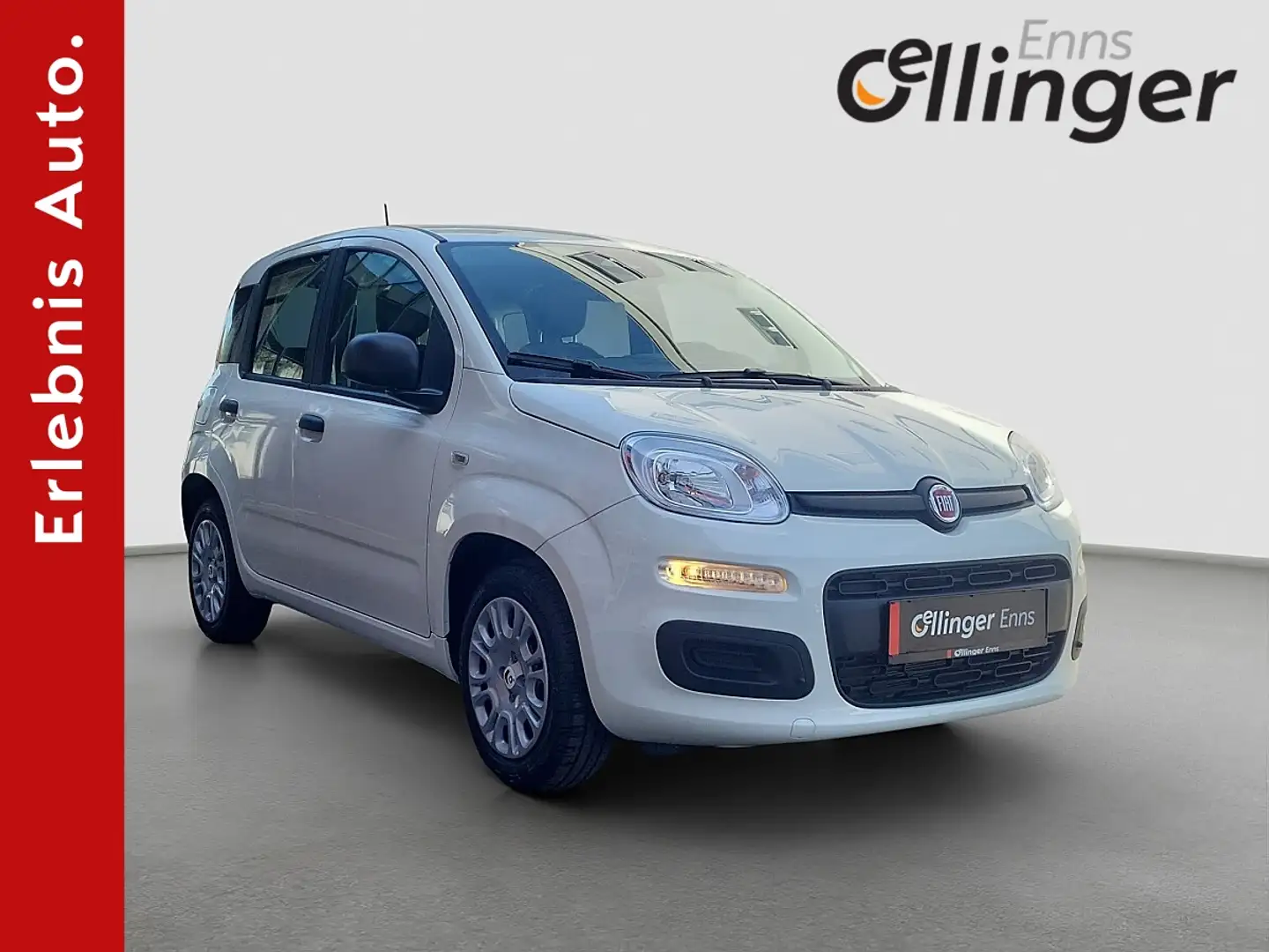 Fiat Panda Weiß - 1