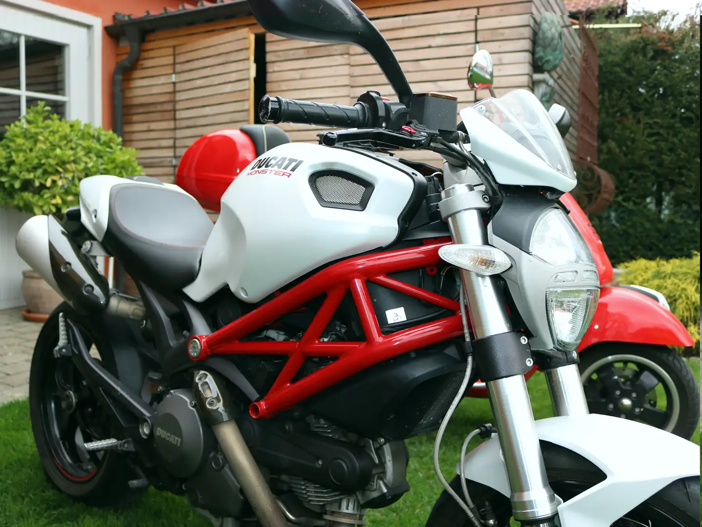 Ducati Monster 796 White - 2