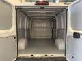 Fiat Ducato 35 L2H1 Nat.Pow(100kW) EU6 D-temp GNC Blanco - thumbnail 20