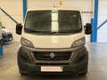 Fiat Ducato 35 L2H1 Nat.Pow(100kW) EU6 D-temp GNC Blanco - thumbnail 2