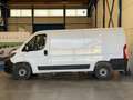 Fiat Ducato 35 L2H1 Nat.Pow(100kW) EU6 D-temp GNC Blanco - thumbnail 8