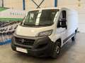 Fiat Ducato 35 L2H1 Nat.Pow(100kW) EU6 D-temp GNC Blanco - thumbnail 1