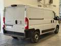 Fiat Ducato 35 L2H1 Nat.Pow(100kW) EU6 D-temp GNC Blanco - thumbnail 5