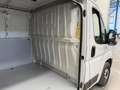 Fiat Ducato 35 L2H1 Nat.Pow(100kW) EU6 D-temp GNC Blanco - thumbnail 22