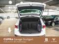 SEAT Ateca X-Perience 1.5 TSI DSG NAVI EPH SHZ KLIMA Weiß - thumbnail 13