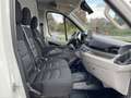 Maxus Deliver 9 Kasten L3H2 MwSt. Service neu 1HD AHK Blanc - thumbnail 16