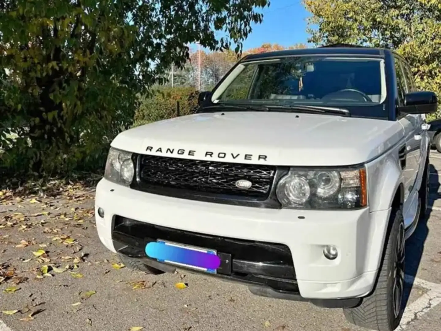 Land Rover Range Rover Sport 3.0 tdV6 HSE auto Bianco - 2