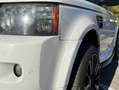 Land Rover Range Rover Sport 3.0 tdV6 HSE auto Bianco - thumbnail 6