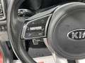 Kia Sportage 1.6 T-GDi GT Line Essential 4x2 177 Rojo - thumbnail 18
