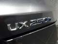 Lexus UX 250h Hybrid 4WD F Sport Gris - thumbnail 37