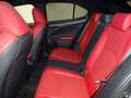 Lexus UX 250h Hybrid 4WD F Sport Grigio - thumbnail 12