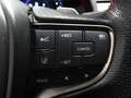 Lexus UX 250h Hybrid 4WD F Sport Grau - thumbnail 18