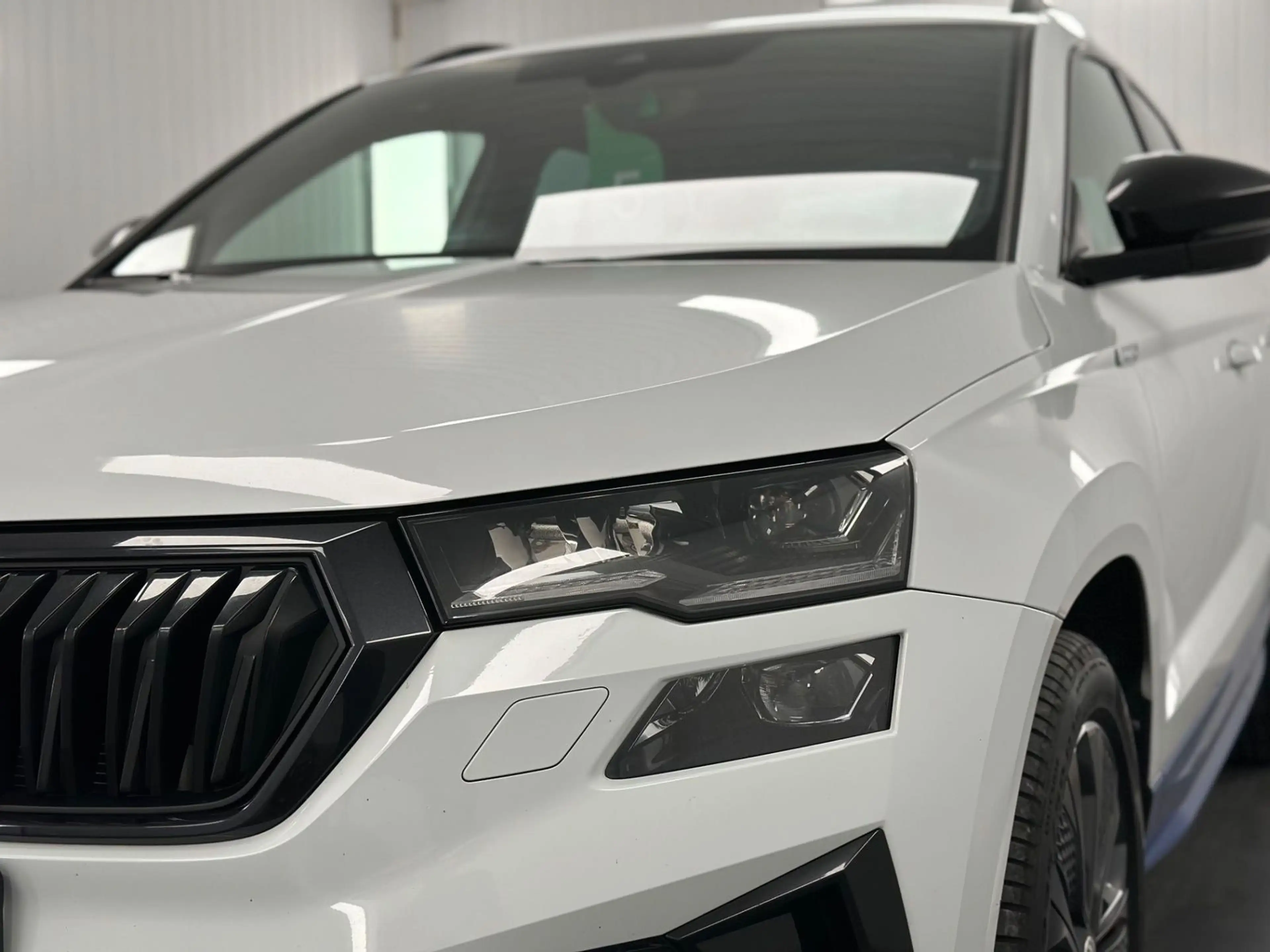 Skoda Karoq 2.0 TDI Sportline 4x4 AHK ACC DAB VIRTUAL — photo 5