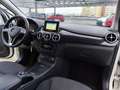Mercedes-Benz B 180 CDI AUTOM. BI-XENON/SHZG/TEMP/CHROM/NAVI/PDC/ALUS Weiß - thumbnail 10