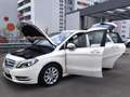 Mercedes-Benz B 180 CDI AUTOM. BI-XENON/SHZG/TEMP/CHROM/NAVI/PDC/ALUS Weiß - thumbnail 16