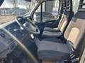 Iveco 50C21 3 pers airco 204 pk Trekker euro 5 Blanc - thumbnail 3