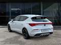 CUPRA Leon 2.0 TSI ACC LED Full Link Beats Sitzheizung Weiß - thumbnail 4