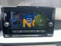 SEAT Ibiza Reference 1.0 TSI 95PS Grau - thumbnail 15